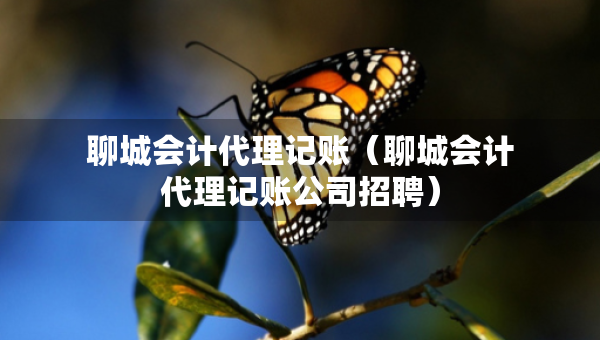 聊城会计代理记账（聊城会计代理记账公司招聘）