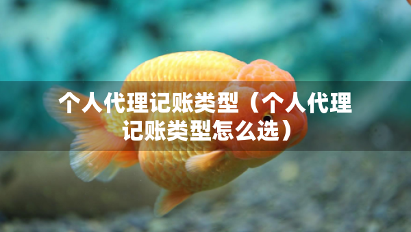 个人代理记账类型（个人代理记账类型怎么选）