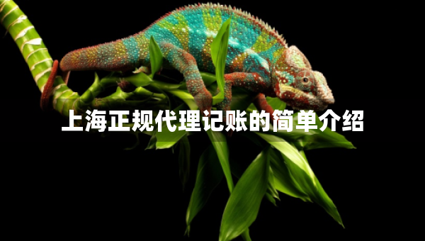 上海正规代理记账的简单介绍