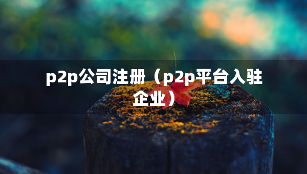 p2p公司注册（p2p平台入驻企业）