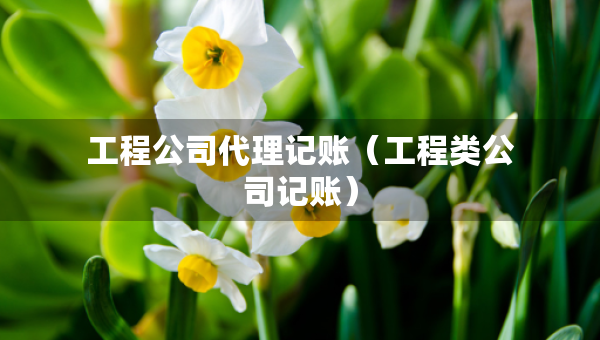 工程公司代理记账（工程类公司记账）