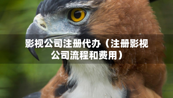 影视公司注册代办（注册影视公司流程和费用）