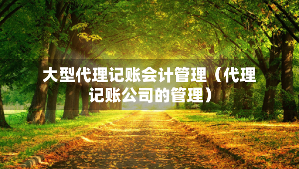 大型代理记账会计管理（代理记账公司的管理）