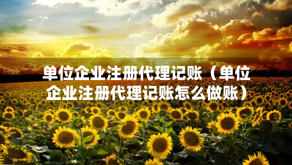 单位企业注册代理记账（单位企业注册代理记账怎么做账）