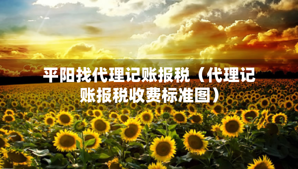 平阳找代理记账报税（代理记账报税收费标准图）
