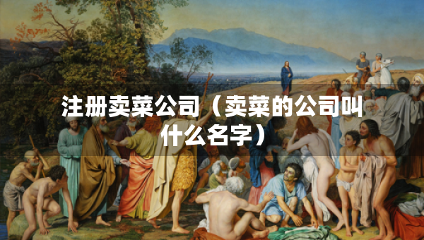 注册卖菜公司（卖菜的公司叫什么名字）