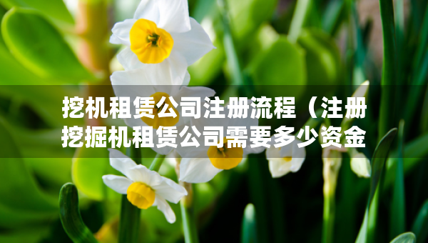 挖机租赁公司注册流程（注册挖掘机租赁公司需要多少资金）