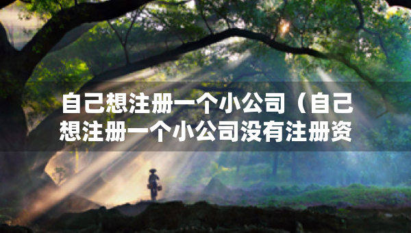 自己想注册一个小公司（自己想注册一个小公司没有注册资金）