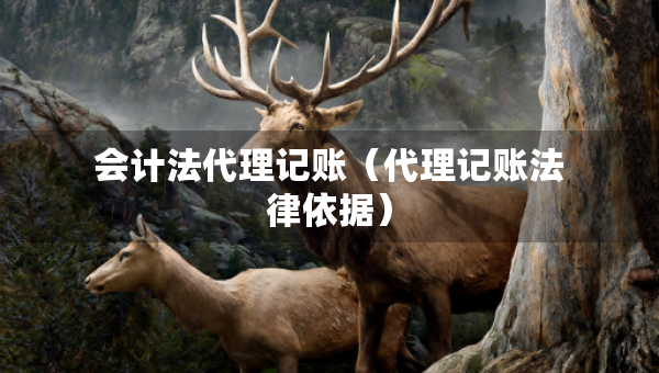 会计法代理记账（代理记账法律依据）