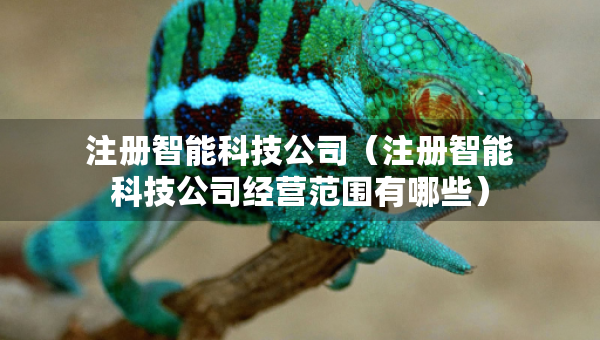 注册智能科技公司（注册智能科技公司经营范围有哪些）