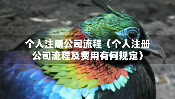 个人注册公司流程（个人注册公司流程及费用有何规定）