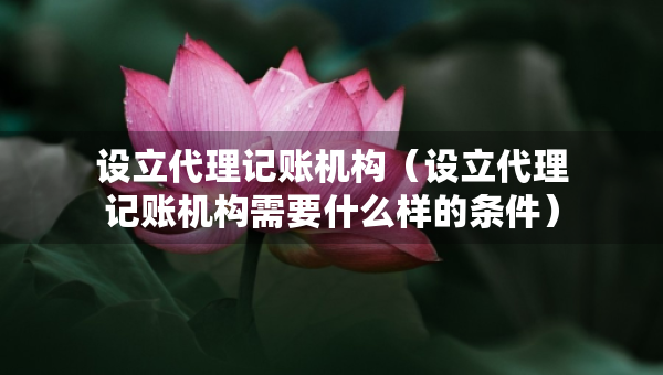 设立代理记账机构（设立代理记账机构需要什么样的条件）