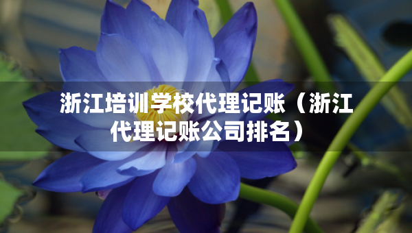 浙江培训学校代理记账（浙江代理记账公司排名）