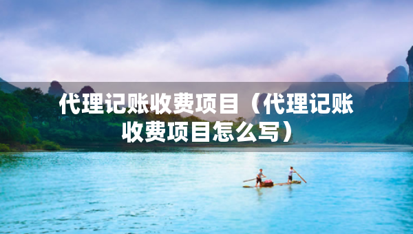 代理记账收费项目（代理记账收费项目怎么写）
