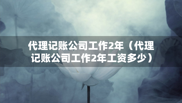 代理记账公司工作2年（代理记账公司工作2年工资多少）