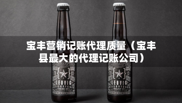 宝丰营销记账代理质量（宝丰县最大的代理记账公司）