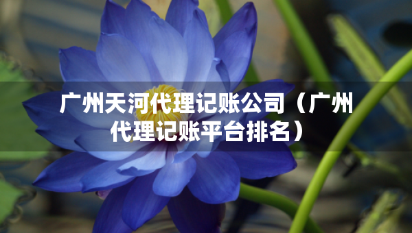 广州天河代理记账公司（广州代理记账平台排名）