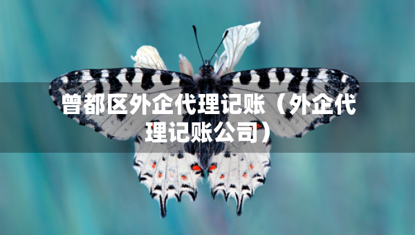 曾都区外企代理记账（外企代理记账公司）