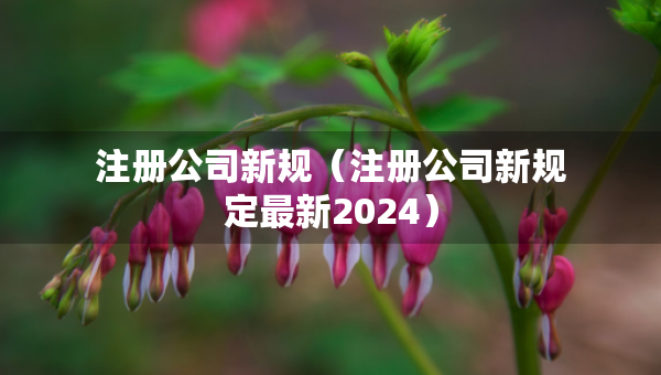 注册公司新规（注册公司新规定最新2024）