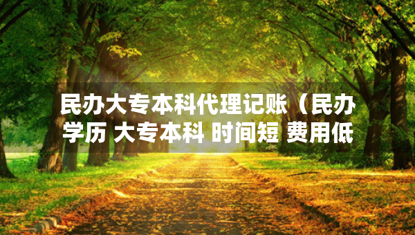 民办大专本科代理记账（民办学历 大专本科 时间短 费用低 专业多 取证快）