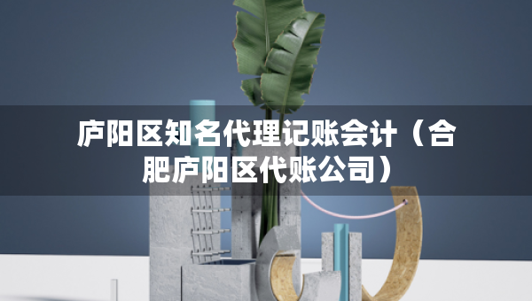 庐阳区知名代理记账会计（合肥庐阳区代账公司）