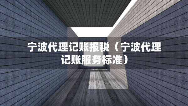 宁波代理记账报税（宁波代理记账服务标准）