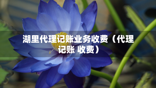 湖里代理记账业务收费（代理记账 收费）
