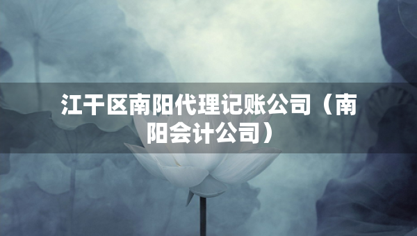 江干区南阳代理记账公司（南阳会计公司）