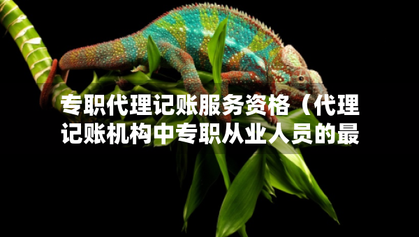 专职代理记账服务资格（代理记账机构中专职从业人员的最低人数要求）