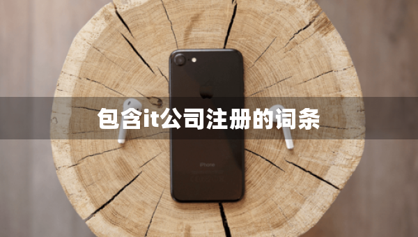 包含it公司注册的词条