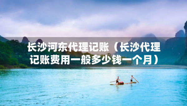 长沙河东代理记账（长沙代理记账费用一般多少钱一个月）