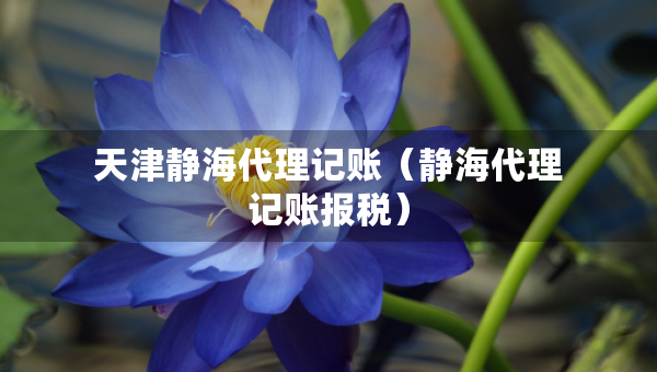 天津静海代理记账（静海代理记账报税）