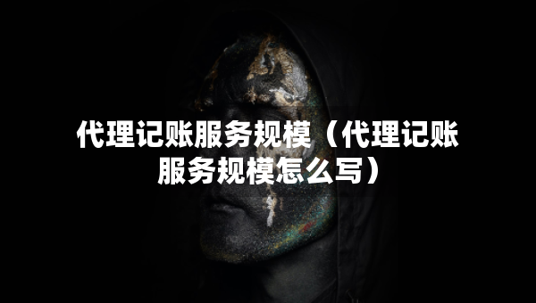 代理记账服务规模（代理记账服务规模怎么写）