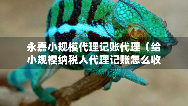 永嘉小规模代理记账代理（给小规模纳税人代理记账怎么收费）
