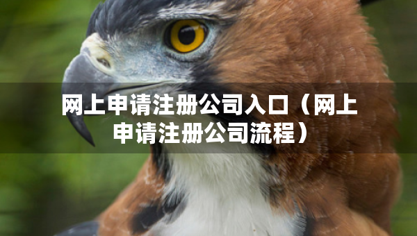 网上申请注册公司入口（网上申请注册公司流程）