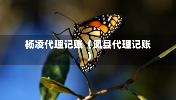 杨凌代理记账（凤县代理记账）