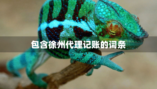 包含徐州代理记账的词条