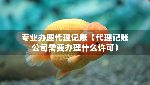 专业办理代理记账（代理记账公司需要办理什么许可）