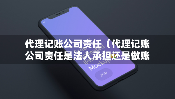 代理记账公司责任（代理记账公司责任是法人承担还是做账人员）