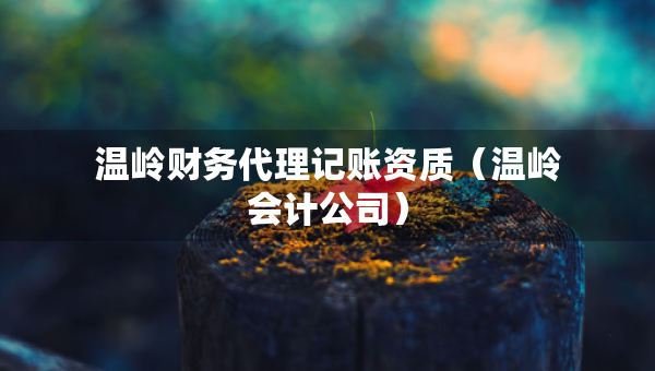 温岭财务代理记账资质（温岭会计公司）