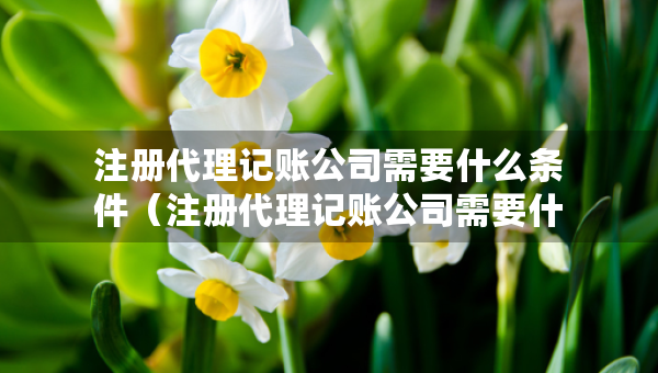 注册代理记账公司需要什么条件（注册代理记账公司需要什么条件武汉）