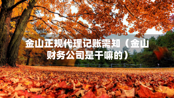 金山正规代理记账需知（金山财务公司是干嘛的）