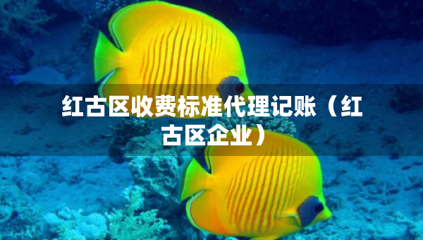 红古区收费标准代理记账（红古区企业）