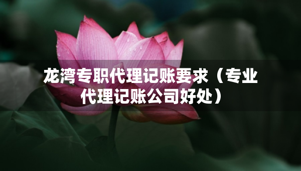 龙湾专职代理记账要求（专业代理记账公司好处）