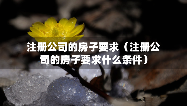 注册公司的房子要求（注册公司的房子要求什么条件）