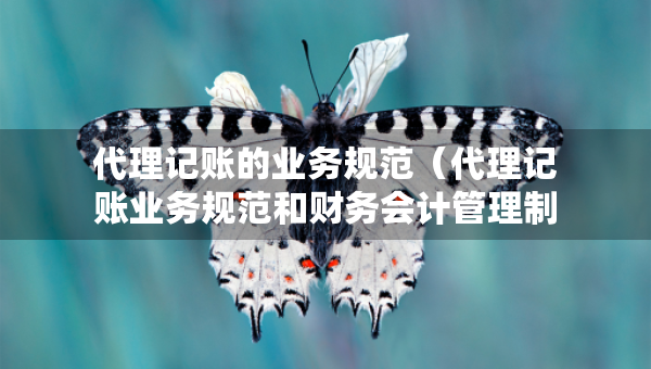 代理记账的业务规范（代理记账业务规范和财务会计管理制度四啥改成三啥）