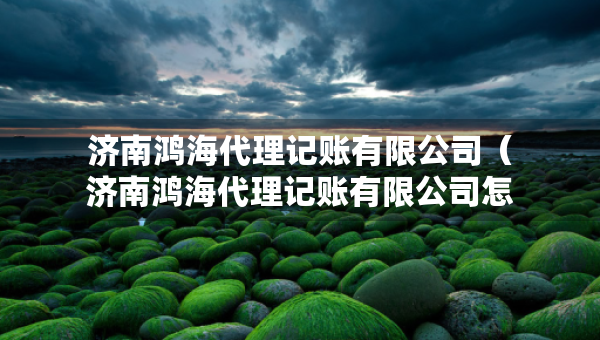 济南鸿海代理记账有限公司（济南鸿海代理记账有限公司怎么样）