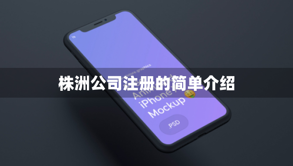 株洲公司注册的简单介绍