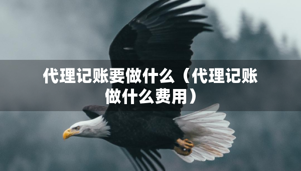 代理记账要做什么（代理记账做什么费用）