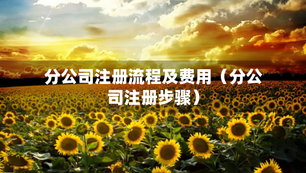 分公司注册流程及费用（分公司注册步骤）